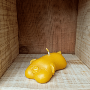 Bougie Cochon
