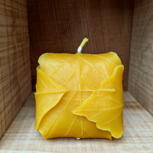 Bougie Feuille de Vigne