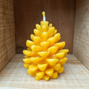 Bougie Pomme de Pin