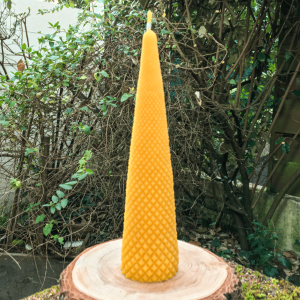 Bougie Sapin